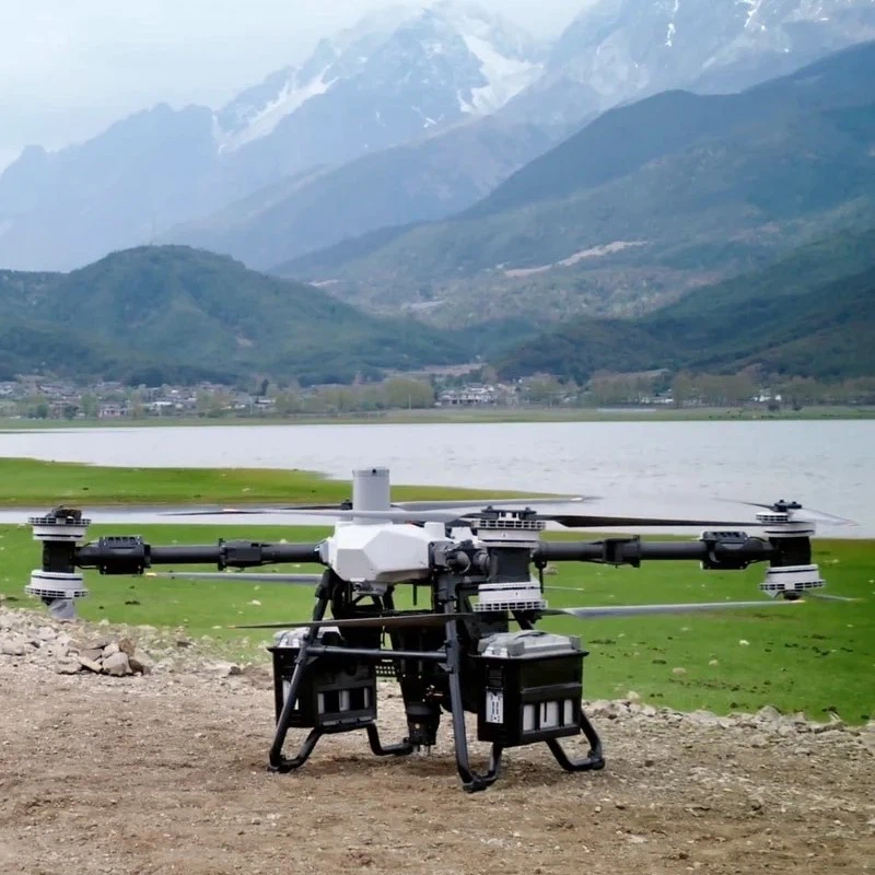 page-800-800 page-800-800